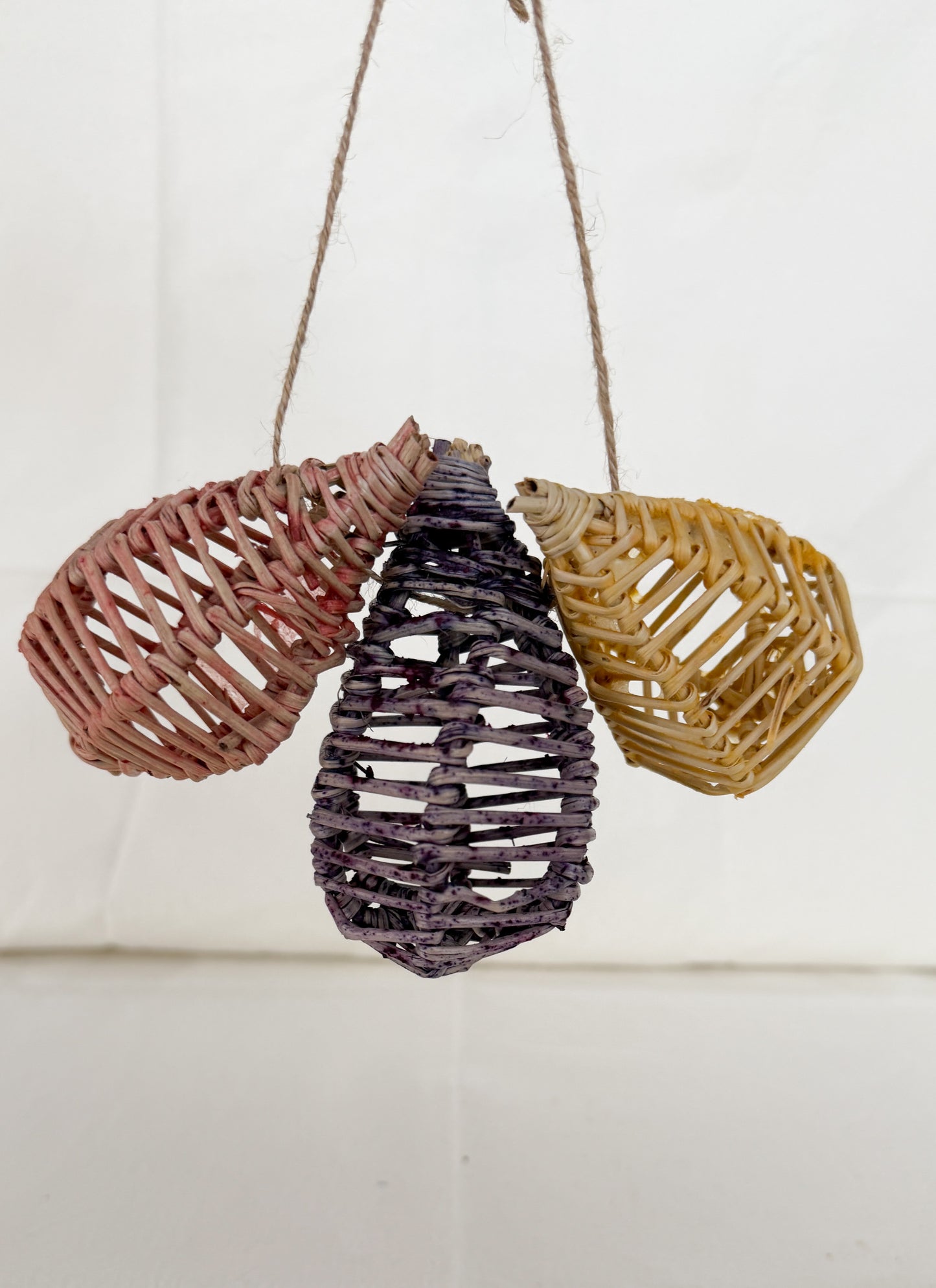 Wild Vine Trio