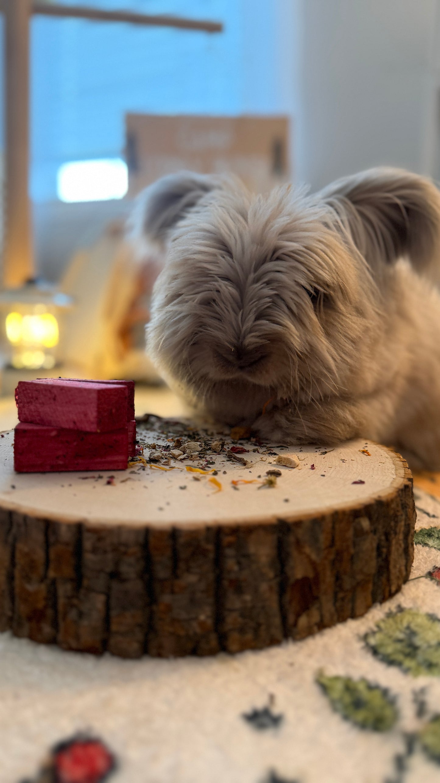 Bunny Bonfire Kit