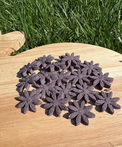 Dreamy Daisies-Calming Rabbit Nighttime Treat| Lavender, Blueberry & Valerian