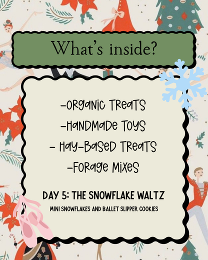 PRE ORDER 🎄 12 Days of Christmas Advent Calendar — Nutcracker Edition