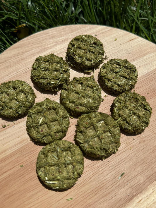 Bunny Waffles| Blueberry or Apple| Homemade Rabbit Treats 1.2 oz bag