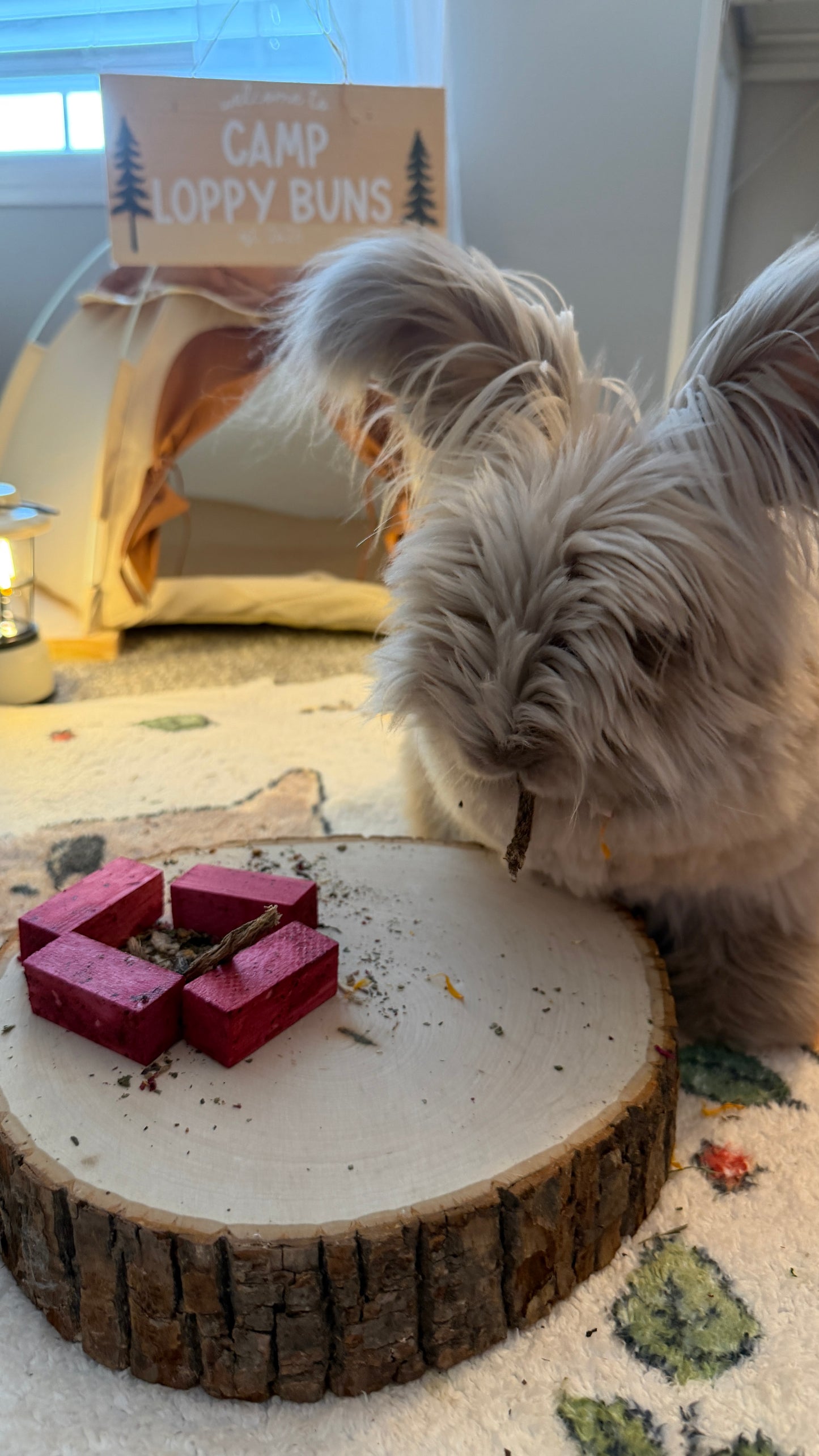 Bunny Bonfire Kit