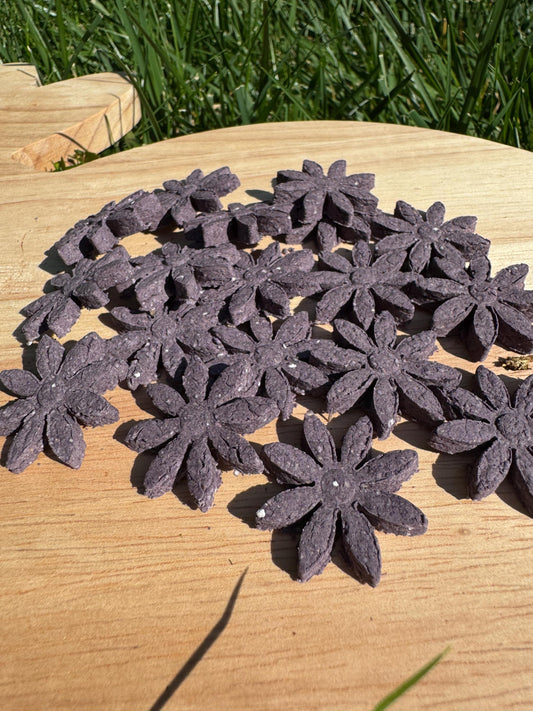 Dreamy Daisies-Calming Rabbit Nighttime Treat| Lavender, Blueberry & Valerian