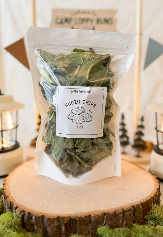 Kudzu Chips 1 oz Bag