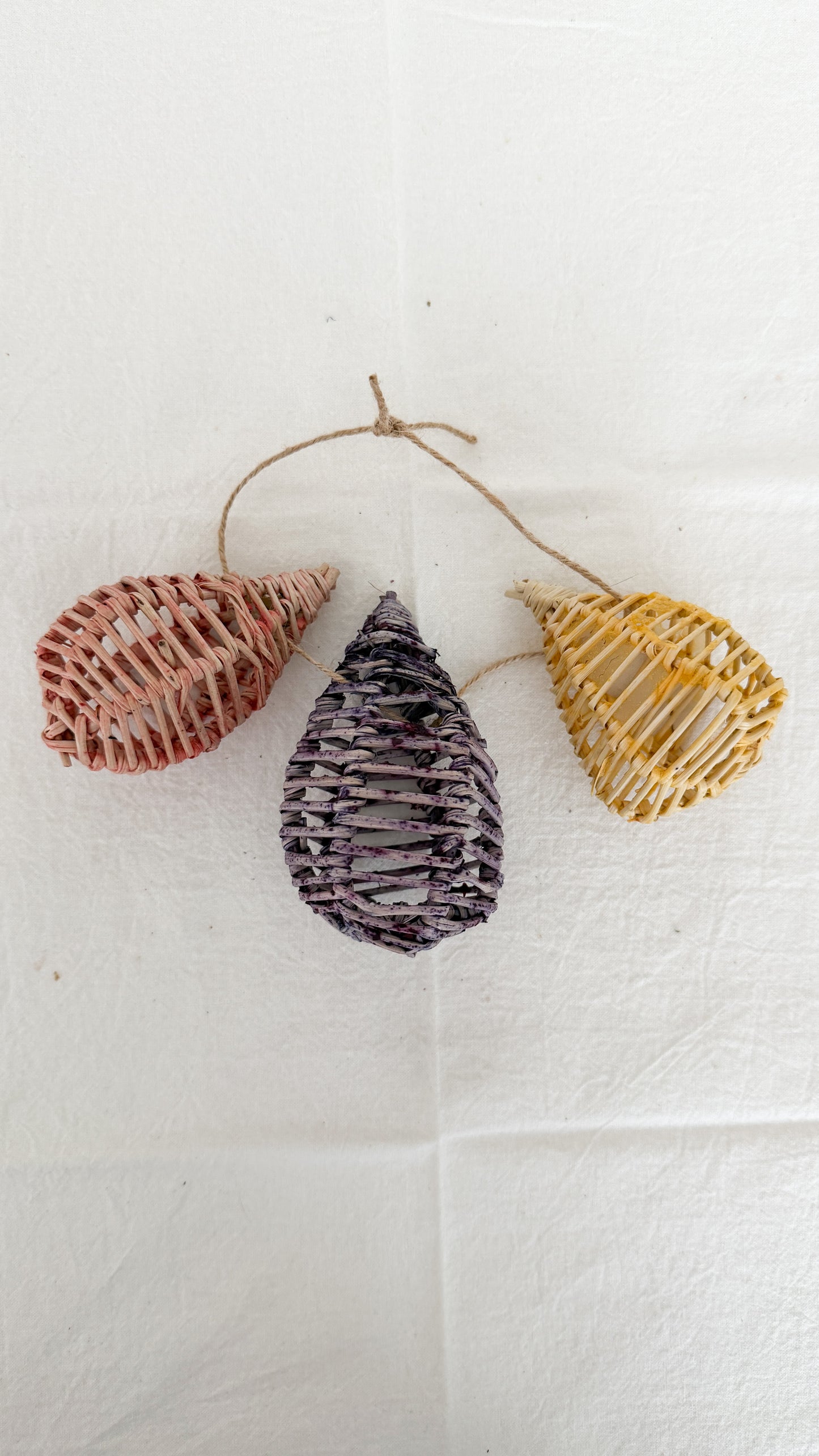 Wild Vine Trio