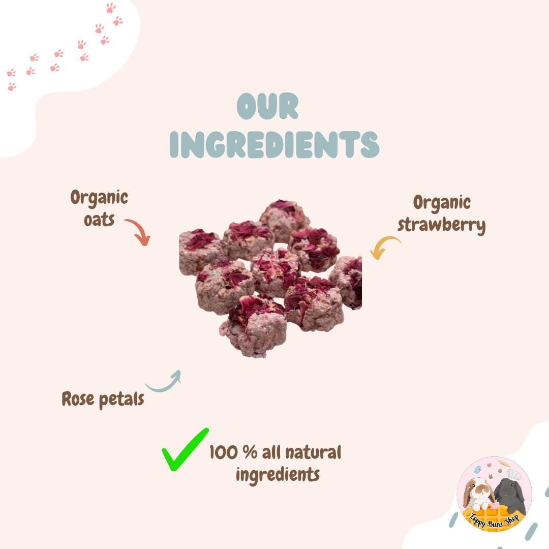 Berry Bunny Petit Fours | Homemade Rabbit Treats| Organic