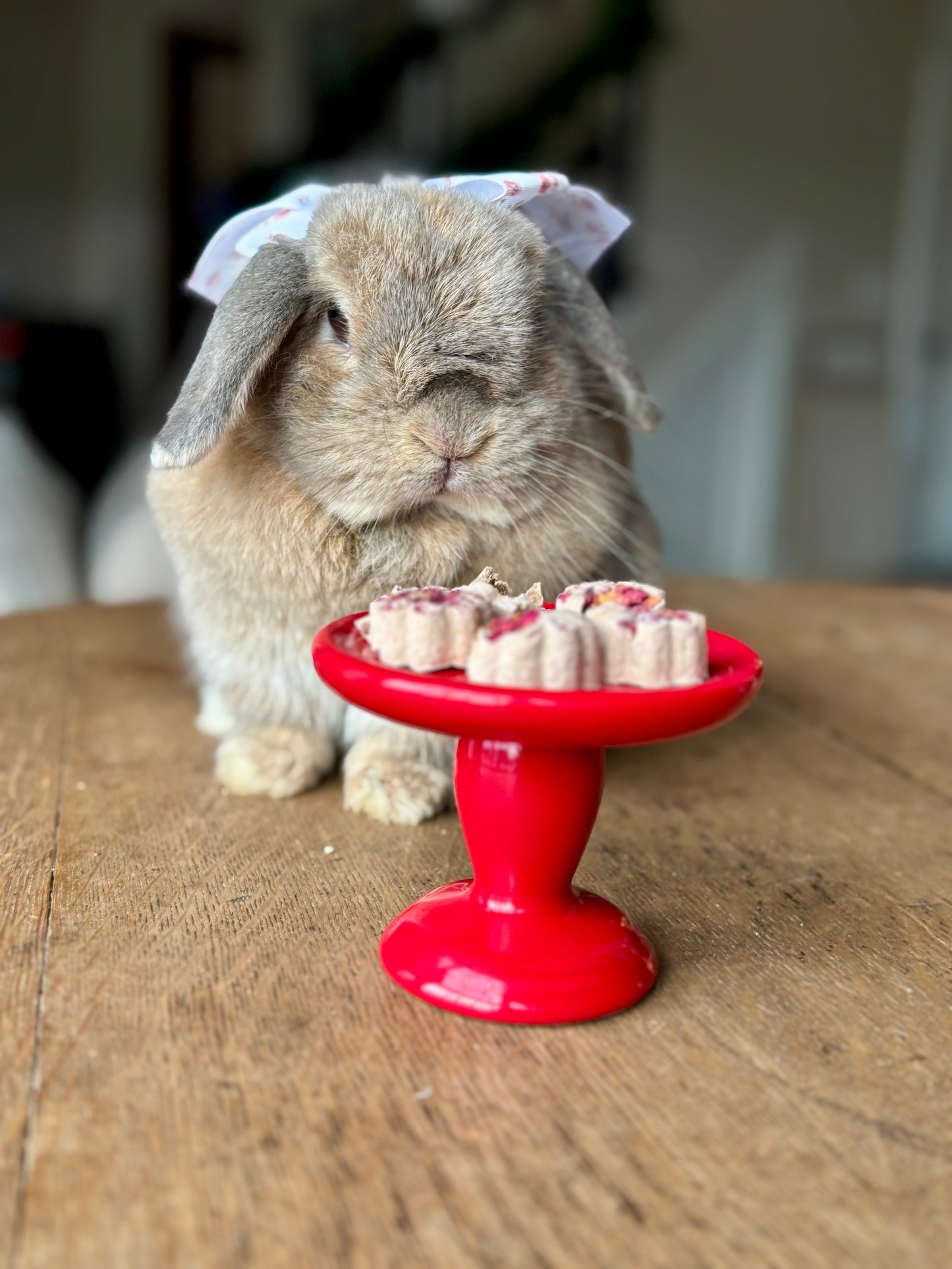 Berry Bunny Petit Fours | Homemade Rabbit Treats| Organic