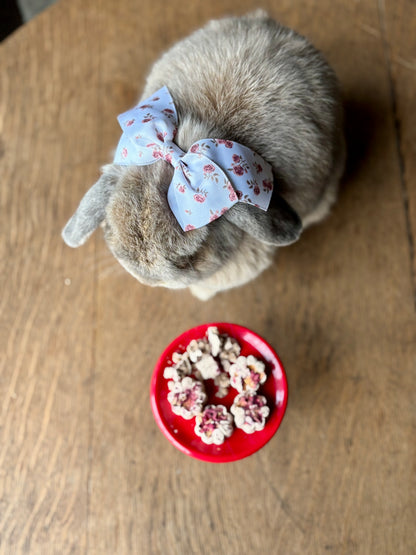 Berry Bunny Petit Fours | Homemade Rabbit Treats| Organic