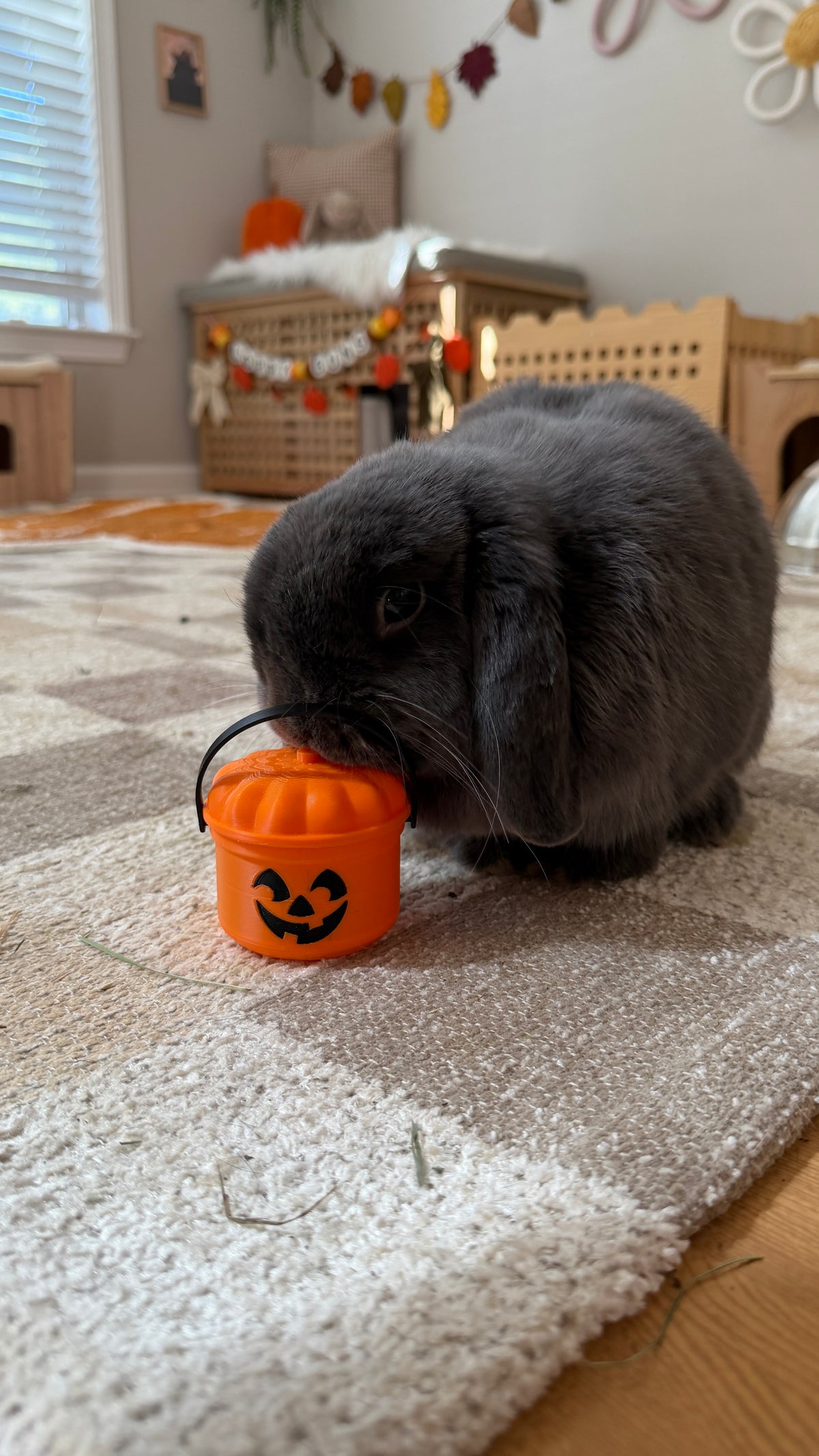 Mini Halloween Bucket 👻🎃