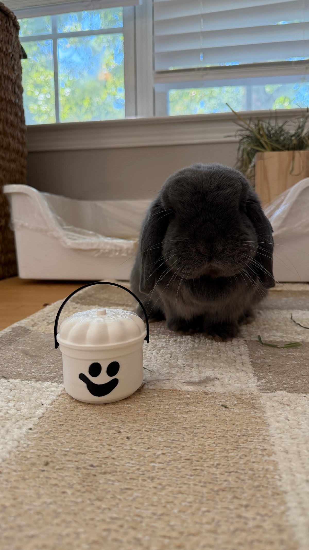 Mini Halloween Bucket 👻🎃