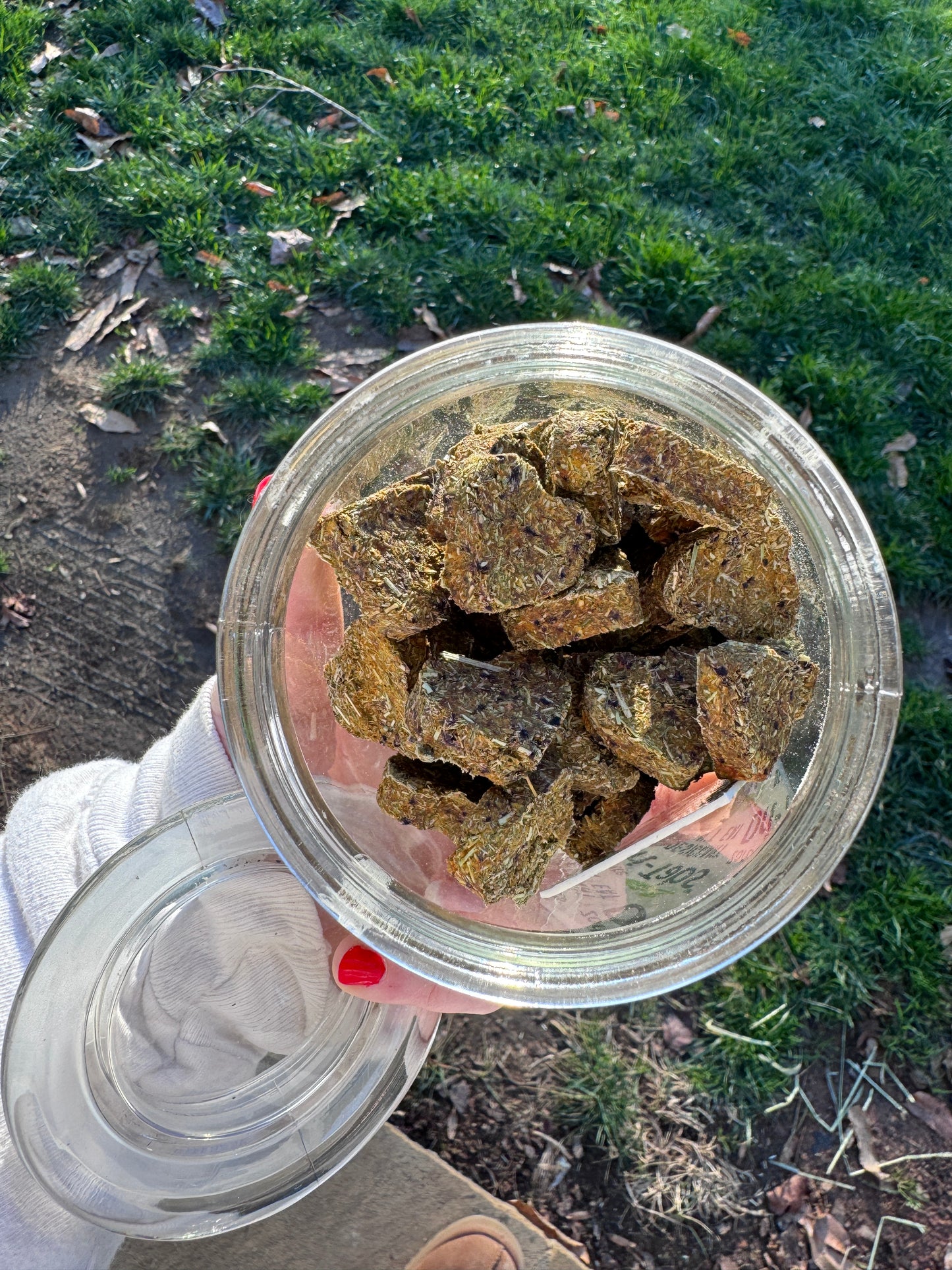 Probiotic Rabbit Hearts – Hay, Oat, Pumpkin & Blueberry, Ginger | 25 Pack