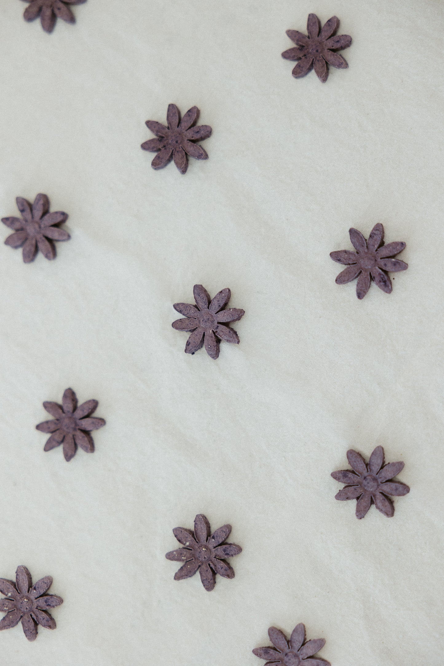 Dreamy Daisies-Calming Rabbit Nighttime Treat| Lavender, Blueberry & Valerian
