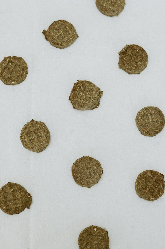 Bunny Waffles| Blueberry or Apple| Homemade Rabbit Treats 1.2 oz bag