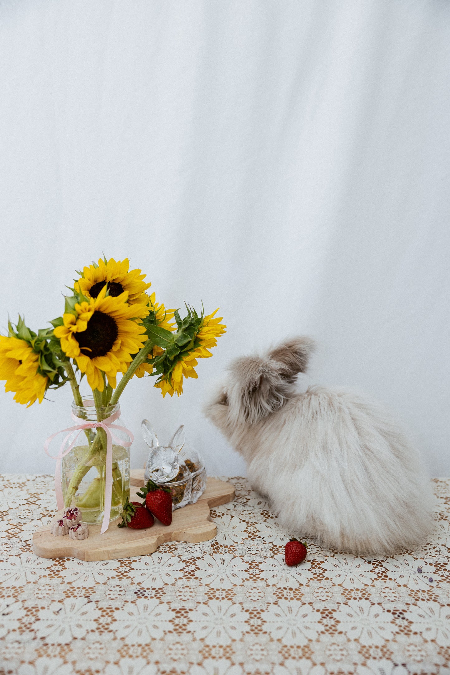 Organic Calming Bunny Forage Mix: Lavender, Chamomile, Rose