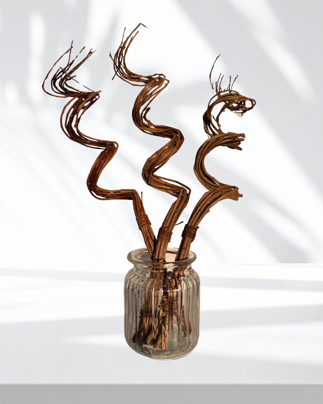 Curly Q Stick | Willow Bunny Chew | Natural