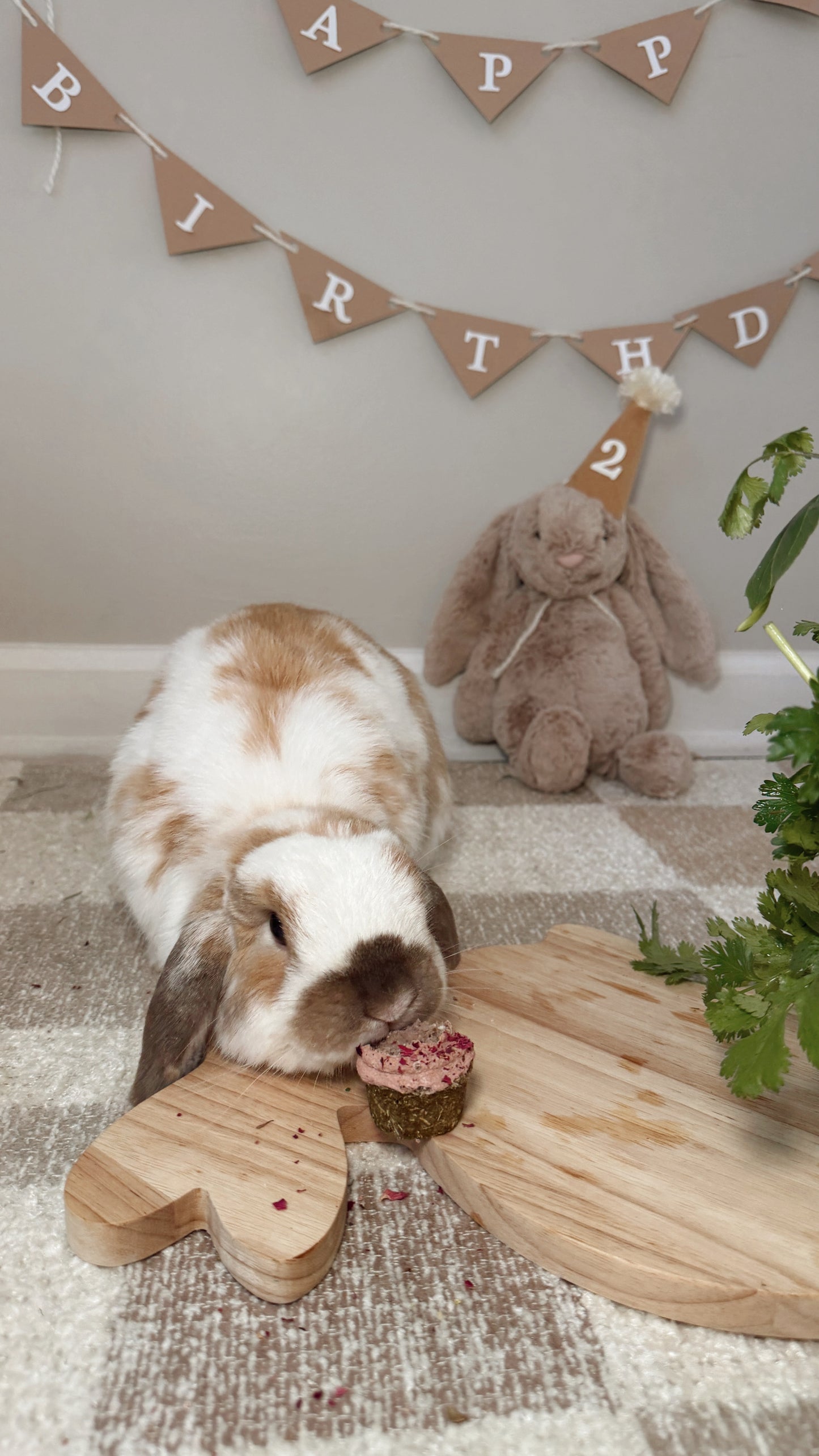 Birthday Mini Cupcake (1)